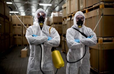 Home untitled design 1